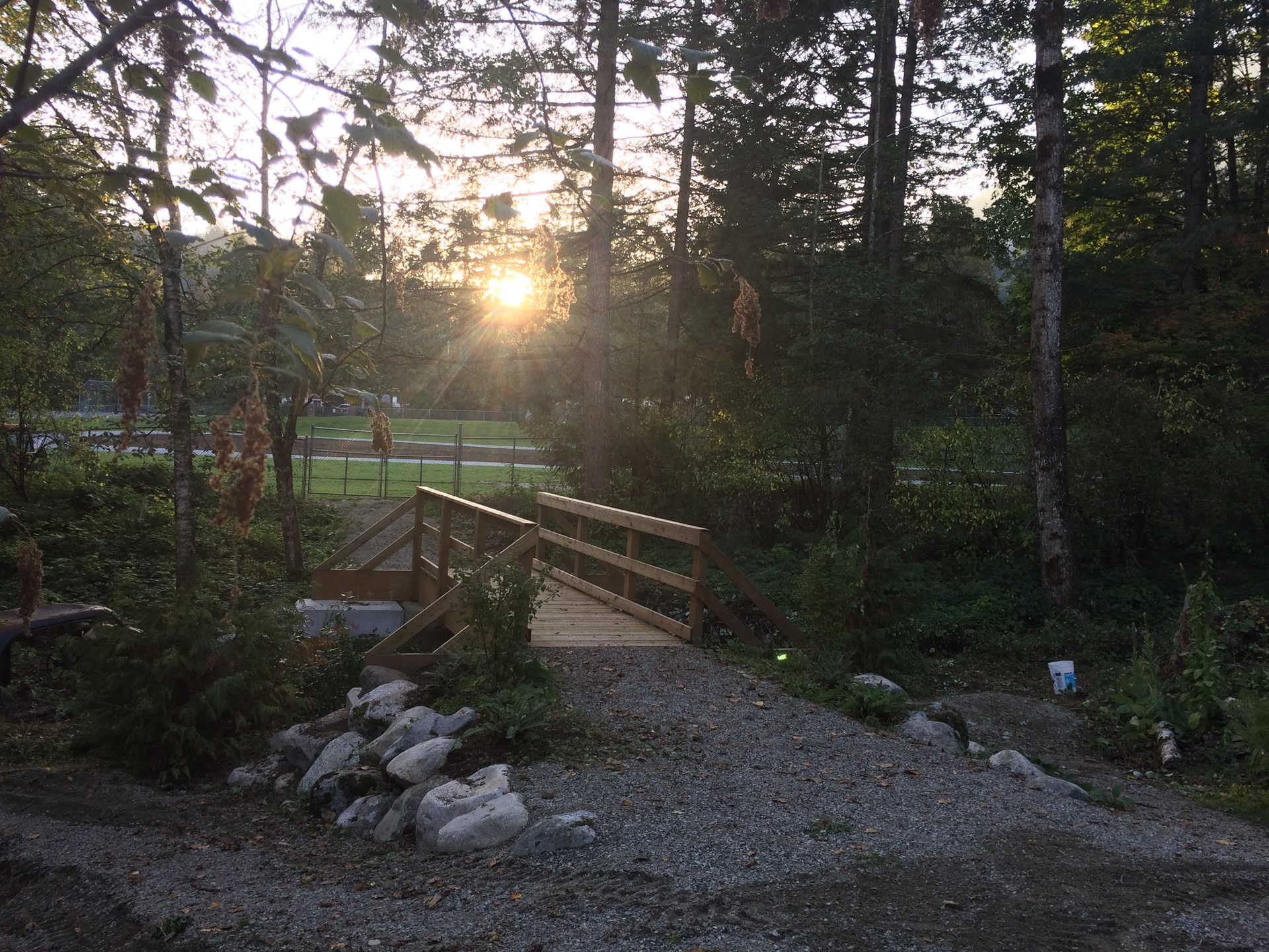 Bridge Track sunset.JPG